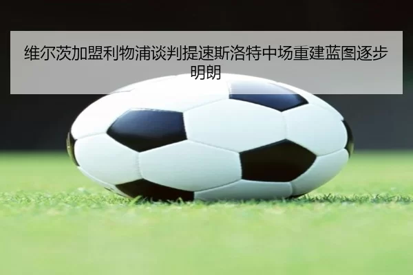 维尔茨加盟利物浦谈判提速斯洛特中场重建蓝图逐步明朗