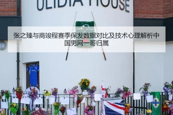 张之臻与商竣程赛季保发数据对比及技术心理解析中国男网一哥归属